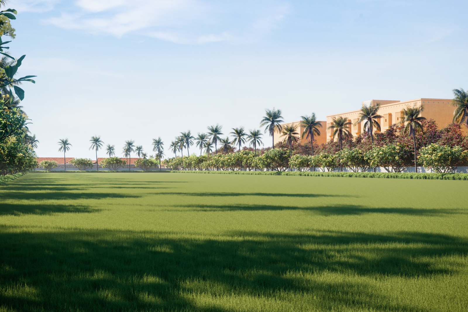 Party Lawn-1